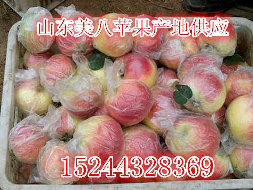 现在山东苹果批发水果什么价格多少钱一斤玉林