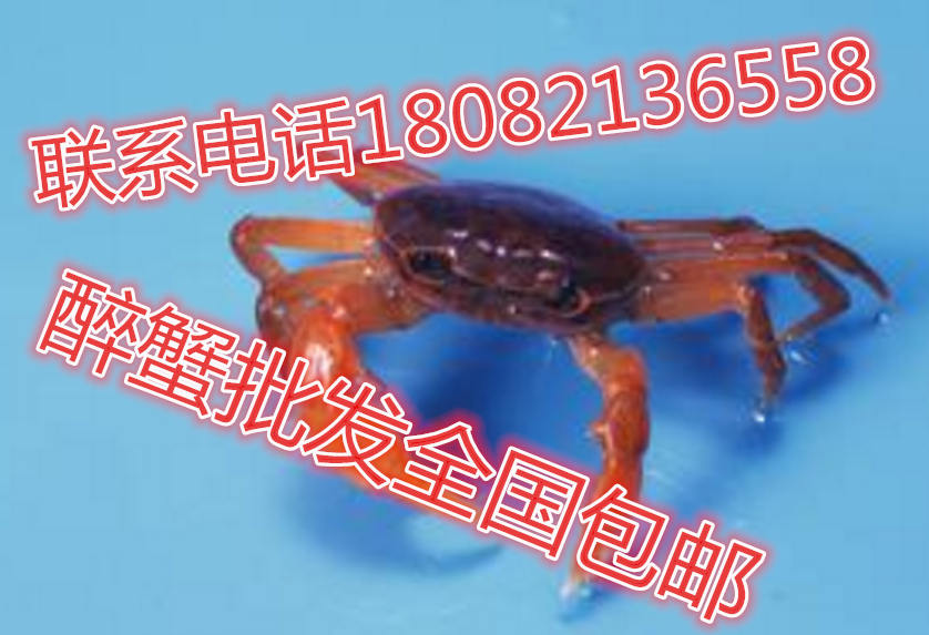 太湖县螃蟹养殖青蟹多少钱一斤太湖县六月黄养